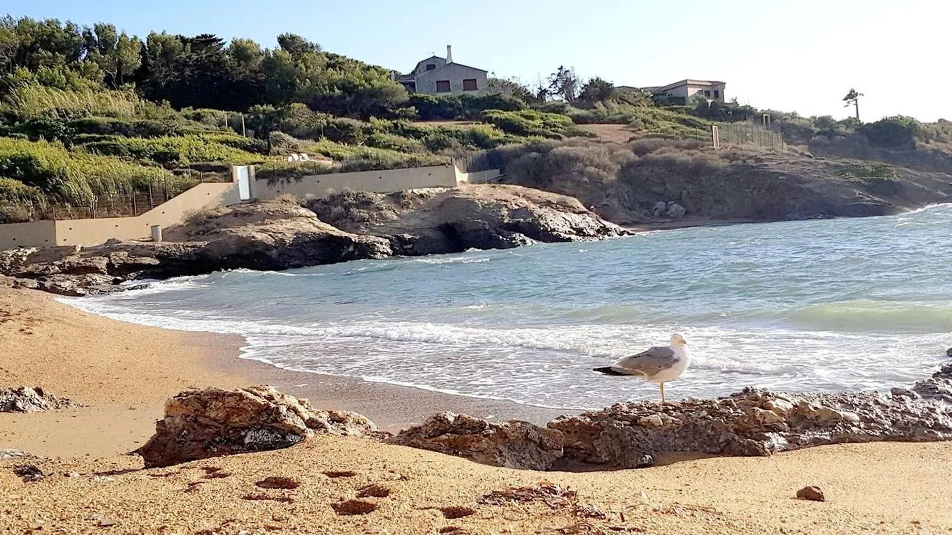 Appartement Six-Fours-les-Plages, 3 pièces, 4 personnes - FR-1-316-230 Francia